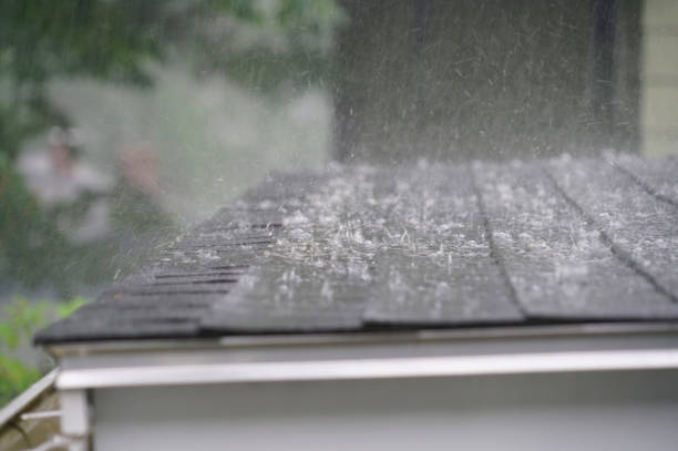 Best Roof Leak Repair  in Waikapu, HI