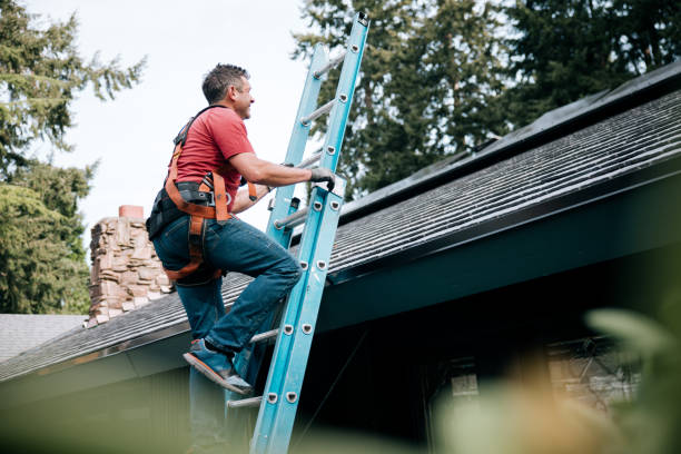 Best Skylight Installation and Repair  in Waikapu, HI